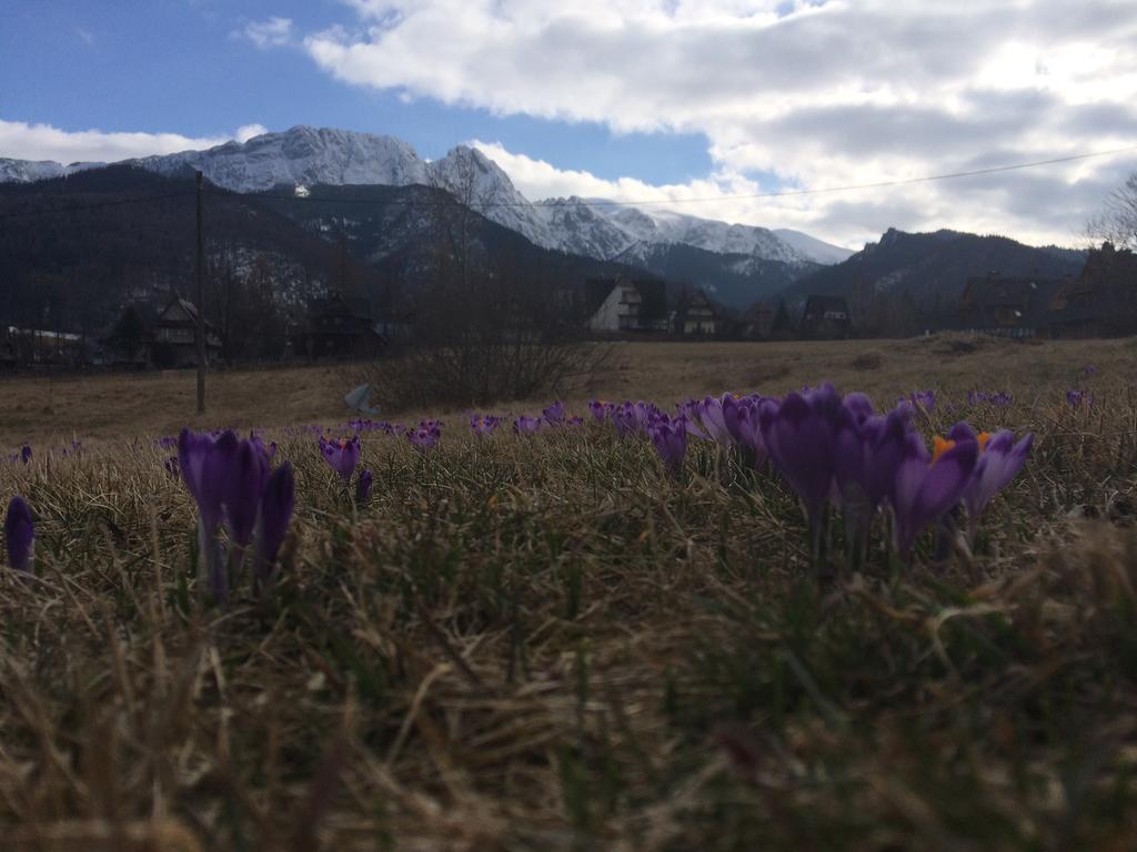 Dom Wypoczynkowy Jadzia Zakopane Exterior foto